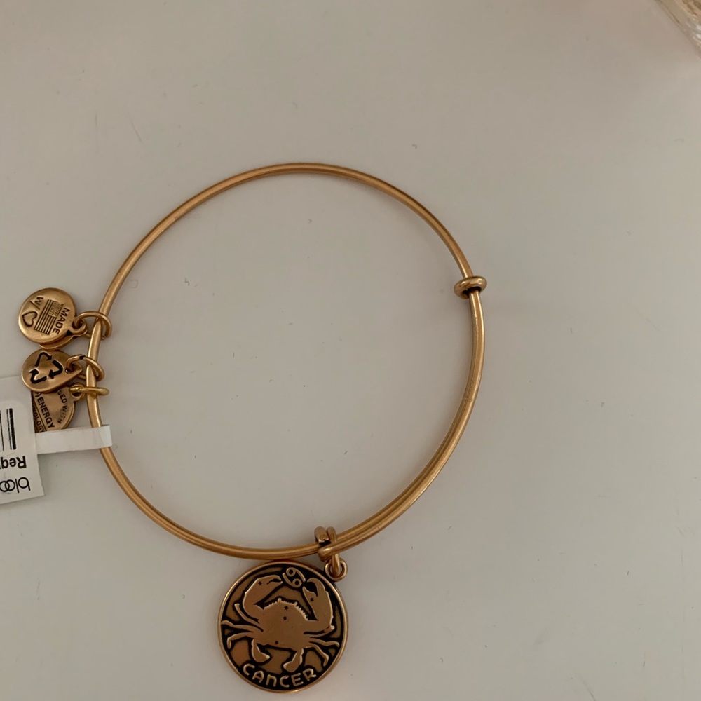 Cancer Alex and Ani